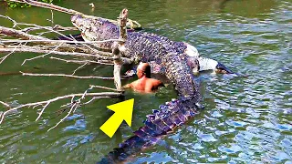 This Man Saved a Giant Crocodile From Dying.  Years Later, The Unexpected Happened