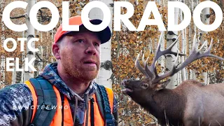 Elk Hunting Colorado!!! [Over-The-Counter Tags]