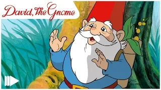 David, the Gnome - 06 - The wedding | Full Episode |