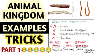 Trick to learn Examples of ANIMAL KINGDOM | Animal kingdom Tricks Part 1