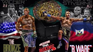 Bermaine Stiverne vs Deontay Wilder Preview