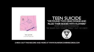 teen suicide - "we found two dead swans and filled their bodies with flowers" (Official Audio)