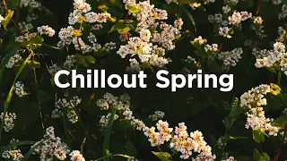 Chillout Spring Playlist 🦋 Chillout Track to Take Deep Breaths ☕