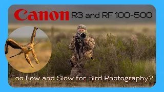 Canon R3 and RF 100-500mm,  too Low and Slow for Bird Photography?