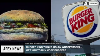 Burger King thinks moldy Whoppers will get you to buy more burgers