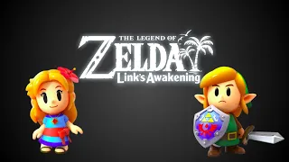 Link and Marin's Ballad of the Windfish Duo Extended