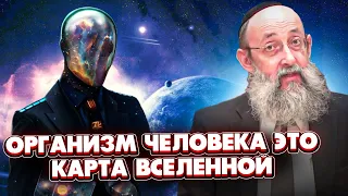 Организм человека это карта вселенной. Рав ашер Кушнир