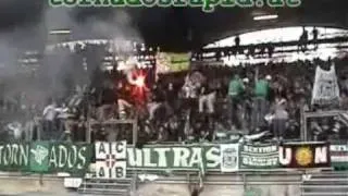 Die besten RAPID WIEN Fangesänge Part 2