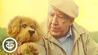 Юрий Никулин о кошках. Спокойной ночи, малыши! (1987)