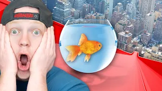 TRAPPED As A FISH For 24 HOURS!