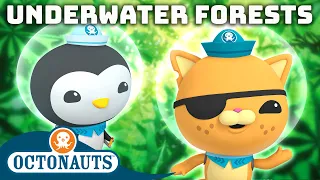 ​@Octonauts - Underwater Forests 🌱 | 40+ Mins | Cartoons for Kids | Underwater Sea Education