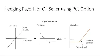 Hedging with Options