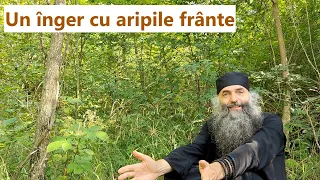 Un înger cu aripile frânte - p. Pimen Vlad