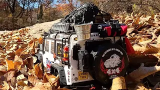 Traxxas TRX-4 Land Rover Defender D110 Off road Crawler