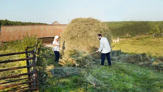 LIFE IN THE URAL VILLAGE | HAYMAKING AND HARVESTING IN NEW DISHES