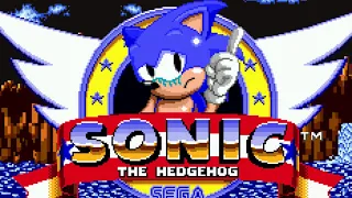 THE SADDEST SONIC GAME EVER CREATED, gives me depression... [SONIC ENDLESS Creepypasta by DevyJolt]