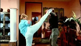 Richard Norton vs Cynthia Rothrock