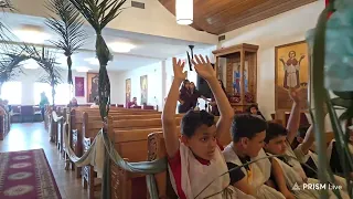 Live streaming of St. Mary and St. Mina Coptic Church Concord, CA USA