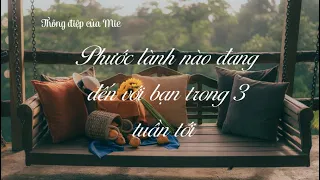 Phước lành nào đang đến với bạn trong 3 tuần tới ( chọn tụ )