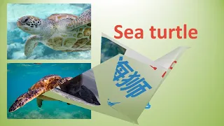 Sea Animals 海洋动物词汇 | ABC words for kids, ESL. English & Chinese. Learn with Images | 给学习英语的人磨耳朵, 形象化