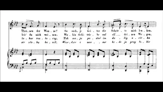 Chopin - 17 Polish Songs, op.74 (Kurzak, Kwiecien, Goerner)