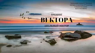 Занятие 3. Анальный вектор. Тренинг  Вектора. Проект Вячеслава Юнева