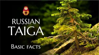 Russian Taiga - Basic facts