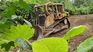 Caterpillar Bulldozer D6R XL Clears a Community Plantation Road