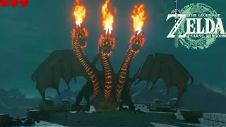 Zelda: Tears of the Kingdom - Flame Gleeok Easy & Effectively With Only 3 Hearts.