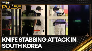 South Korea: A man goes on a stabbing rampage | WION Pulse