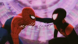 into the spider-verse | together from afar