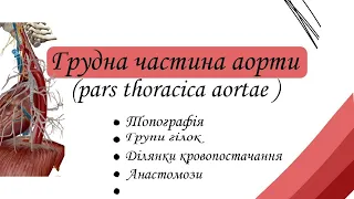 Грудна частина аорти. Pars thoracica aortae.  Гілки, ділянки кровопостачання.