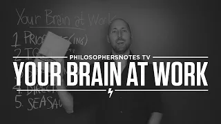 PNTV: Your Brain at Work by David Rock (#285)