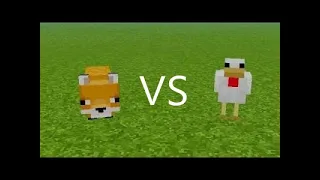 Fox VS Chicken [Minecraft]