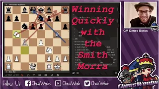 How to Win Quickly with the Smith-Morra Gambit! - GM Denes Boros