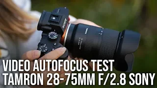 Tamron 28-75mm f/2.8 + Sony a7III Video AutoFocus Test (UPDATE IN DESCRIPTION BOX)