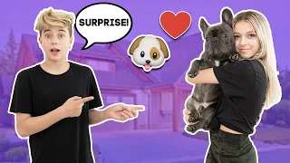 I Bought My Girlfriend A PUPPY **NOT CLICKBAIT** | Gavin Magnus ft. Coco Quinn