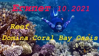 Египет 2021.Domina Coral Bay Oasis.Риф,подводный мир.