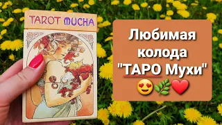 Любимая колода - Таро Альфонса Мухи. В чем ее плюсы?