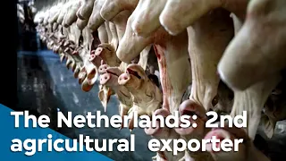 Food for thought | VPRO Documentary