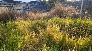 The Old Man Couldn't Do The Yard Work Any More So We Stepped In #satisfyingvideo #mowinggrass