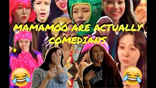 SUPRISE! 🤩 Reacting to MAMAMOO are actually comedians !!! | funny moments