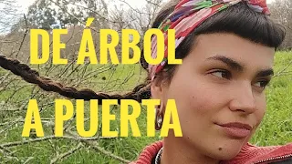 DE ARBOL A PUERTA