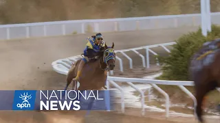 Documentary on the challenges a Blackfoot woman faces in Indian horse relay | APTN News