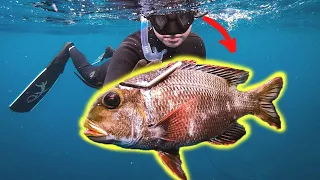 My Girlfriend Spearfishing her First Mu!!! CATCH AND COOK {Coconut Crusted Fish!}
