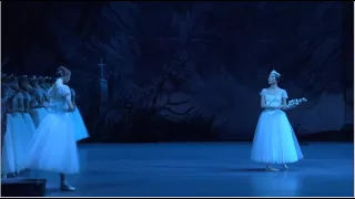 Zakharova  Giselle