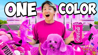 Buying Only Barbie Pink Items For 24 Hours!! (One Color Challenge)