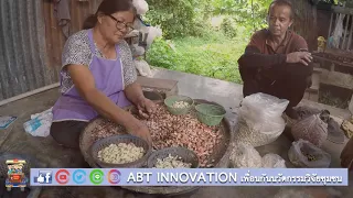 ABT Innovation  ตอน กระบวนการแปรรูปเม็ดมะม่วงหิมพานต์