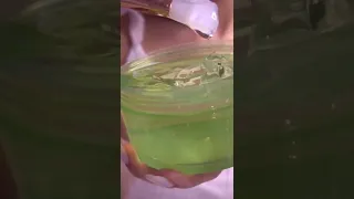 ASMR Aloe Vera Gel 🤤🥒