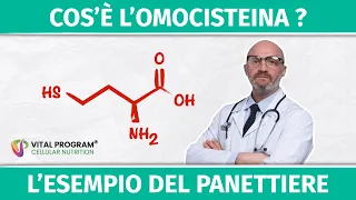 Cos’è l’omocisteina? Spieghiamola con l’esempio del panettiere